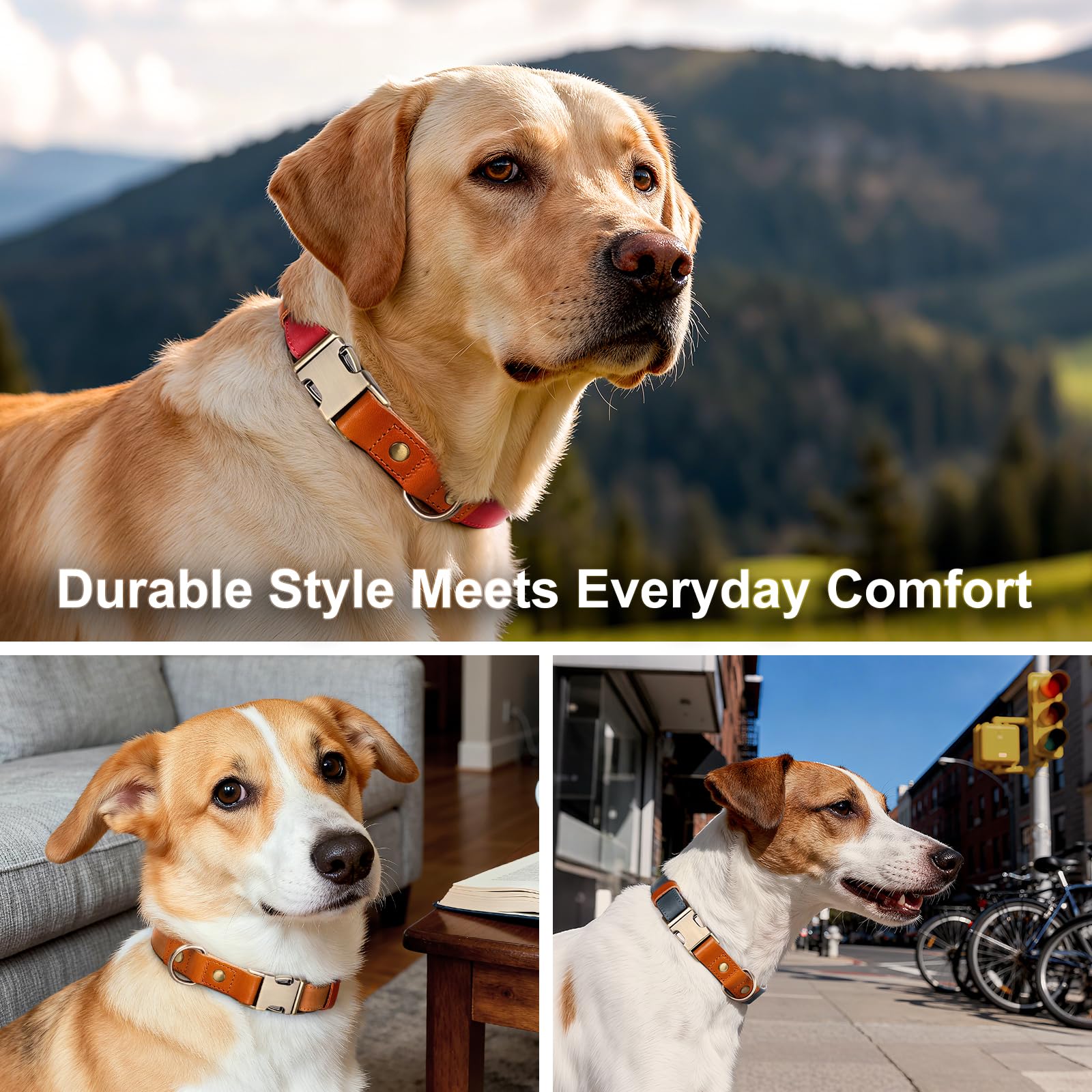 Plutus Pet adjustable slider grows with your dog to maintain fit.