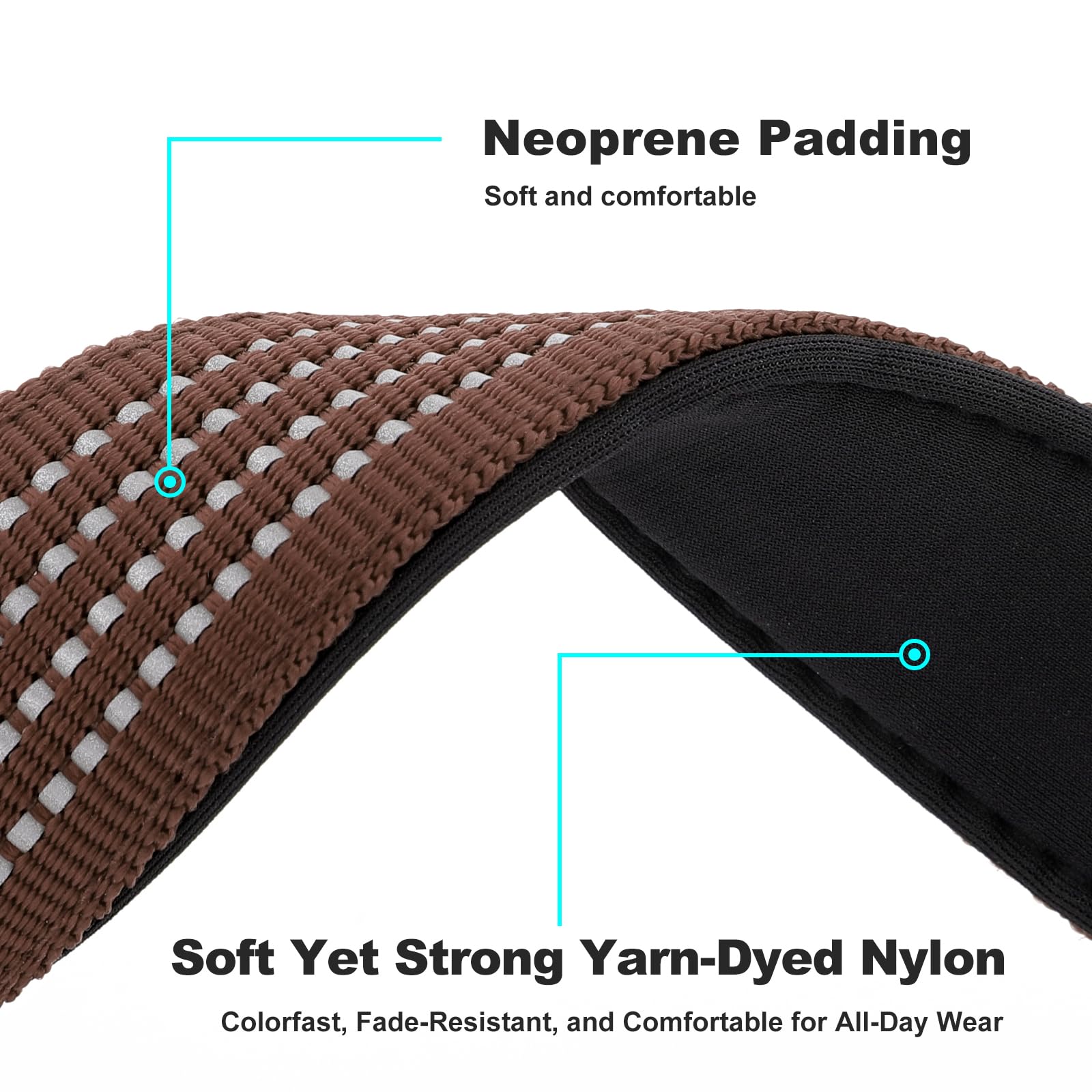 Plutus Pet neoprene-padded collar offers soft comfort on long walks.