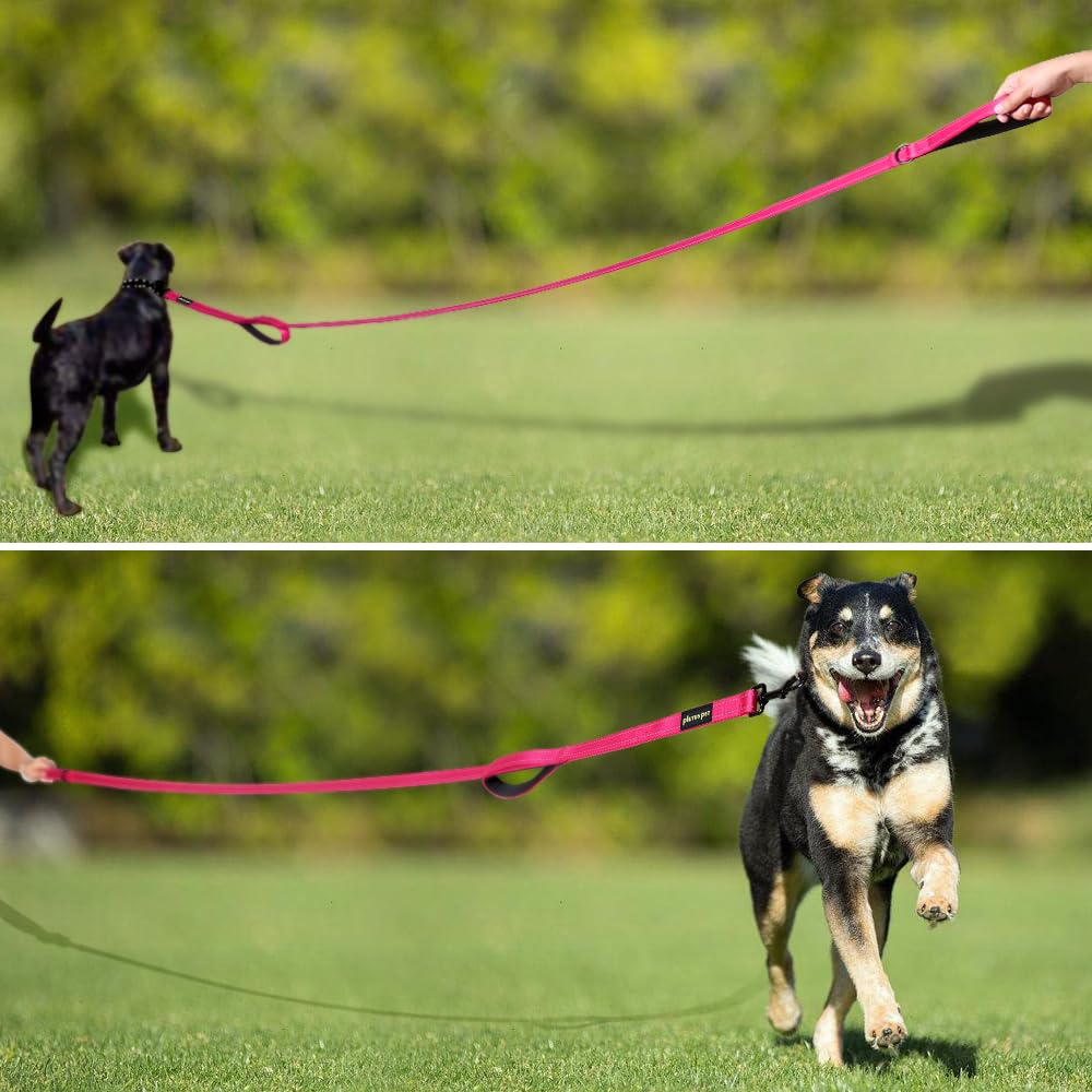 Plutus Pet 1-inch nylon webbing for rugged strength.