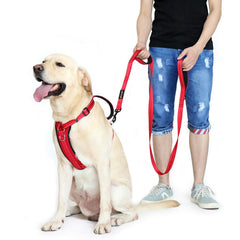 Plutus Pet padded neoprene handles for comfortable walking.