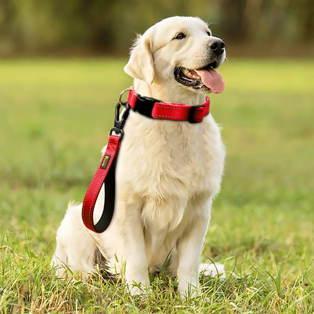 PLUTUS PET leash with replacement guarantee for peace of mind