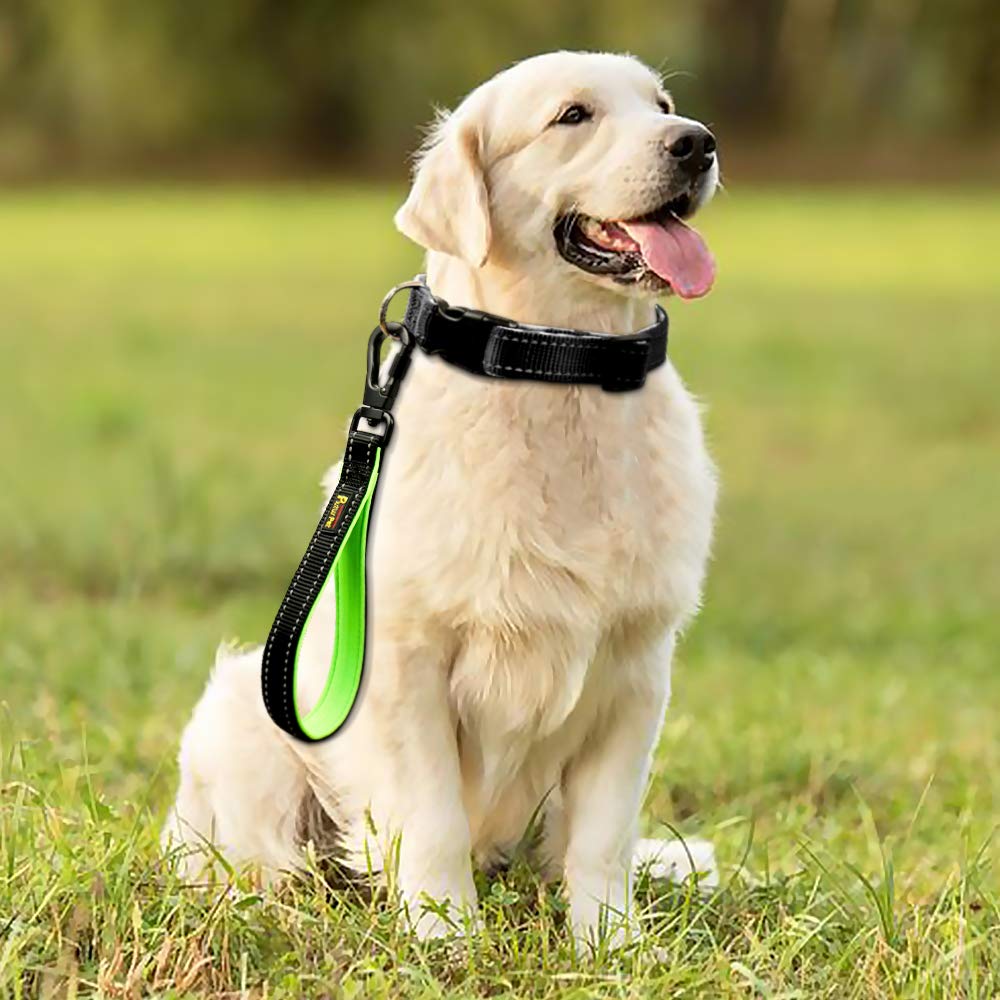 PLUTUS PET 10 inch leash supports close training and calm heel positioning
