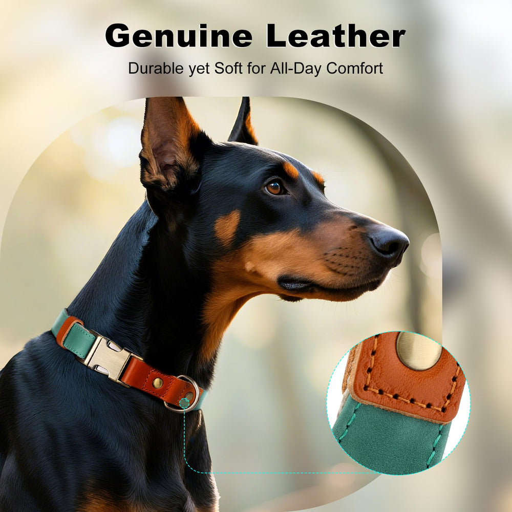Plutus Pet quick-release buckle for easy on/off during walks and training