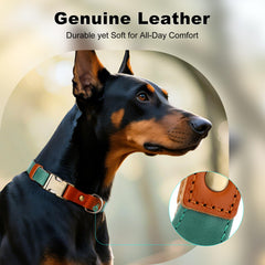 Plutus Pet quick-release buckle for easy on/off during walks and training