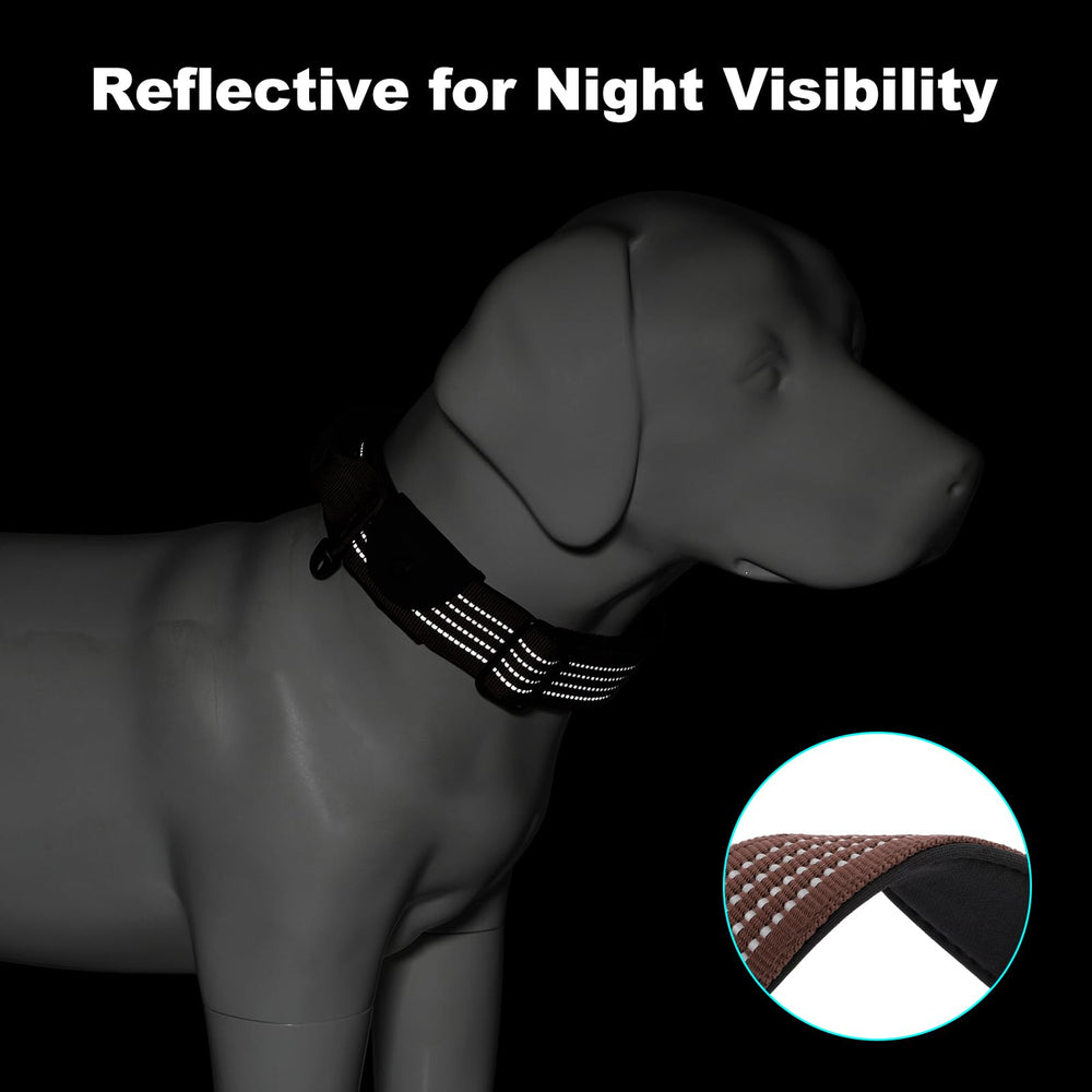 Plutus Pet reflective stitching boosts night visibility for safer evening strolls.