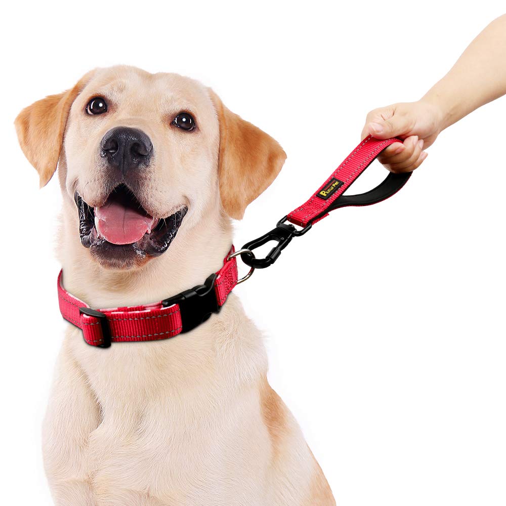 PLUTUS PET leash with reflective stitching for safer night walks