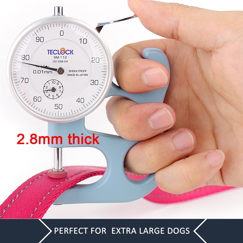 Plutus Pet reflective thread night-visibility seen under headlights.