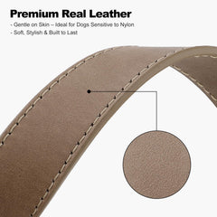Plutus Pet reinforced metal hardware with D-ring supports leash use with durability.
