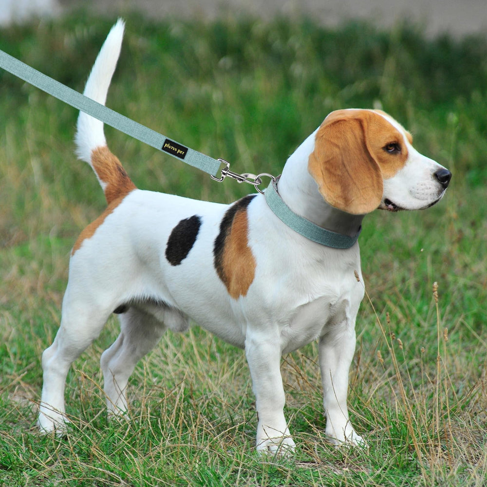 PLUTUS PET soft skin-friendly texture is ideal for sensitive dogs during walks