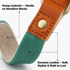 Plutus Pet soft texture on neck emphasizes nylon-free comfort for sensitive dogs