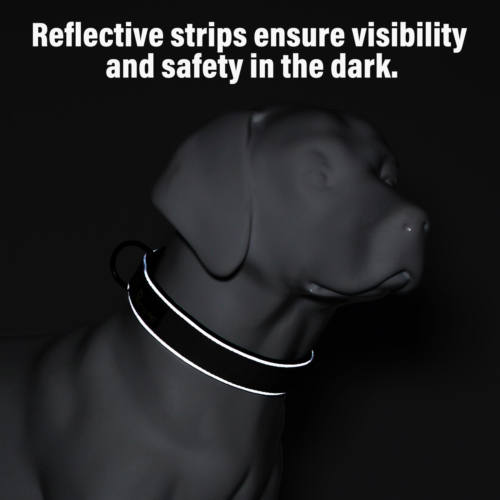 Plutus Pet Tactical Collar buckle and adjuster ensure secure, customizable fit.