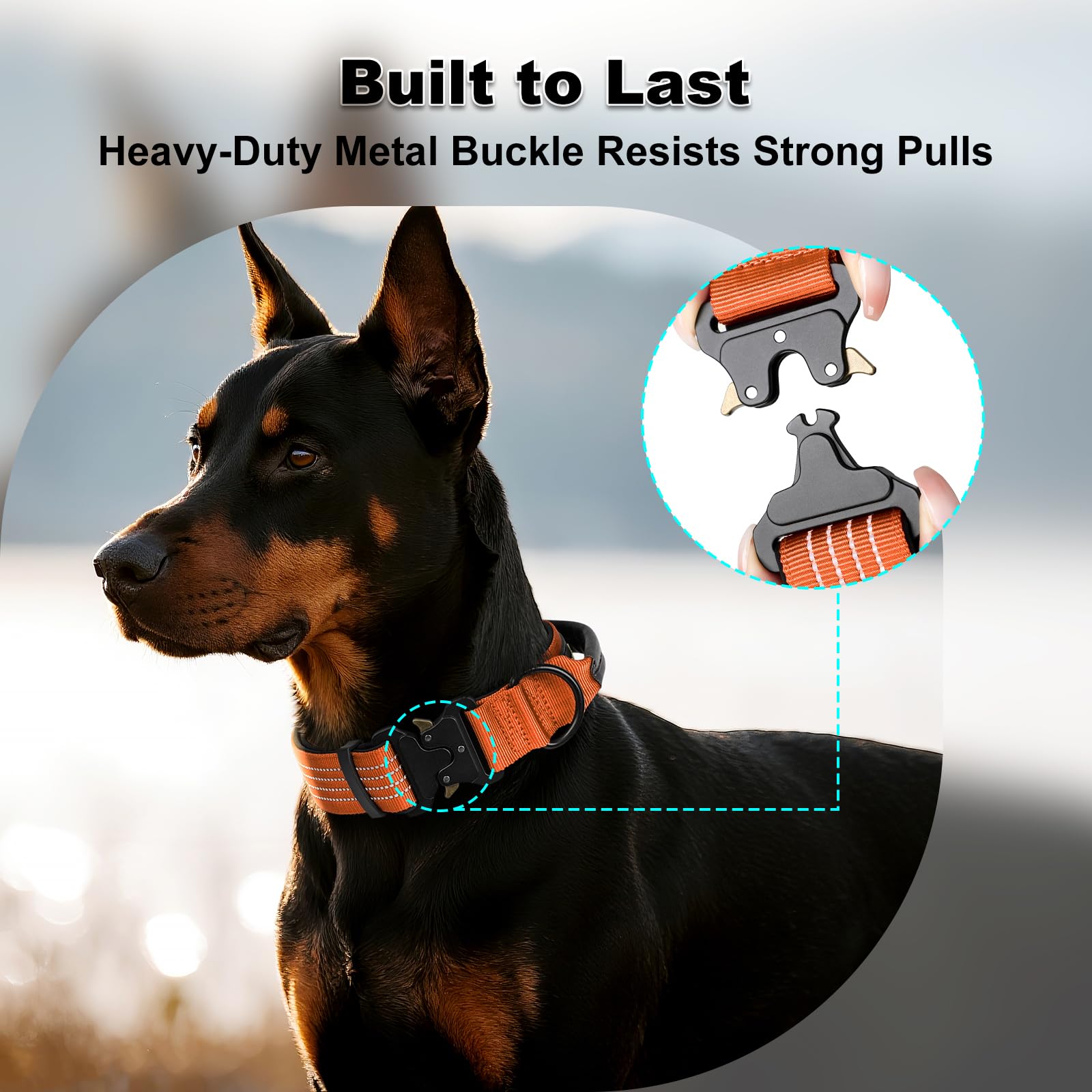 Plutus Pet tactical collar reflective stitching boosts visibility in low light