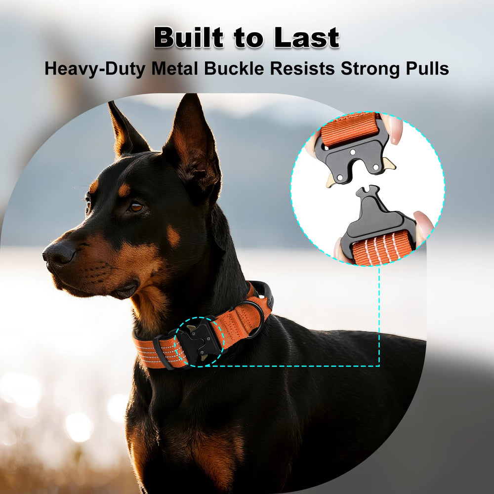 Plutus Pet Tactical collar neoprene padding enhances comfort during long walks.