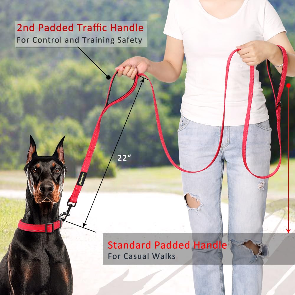 Plutus Pet leash with traffic handle for busy sidewalks.