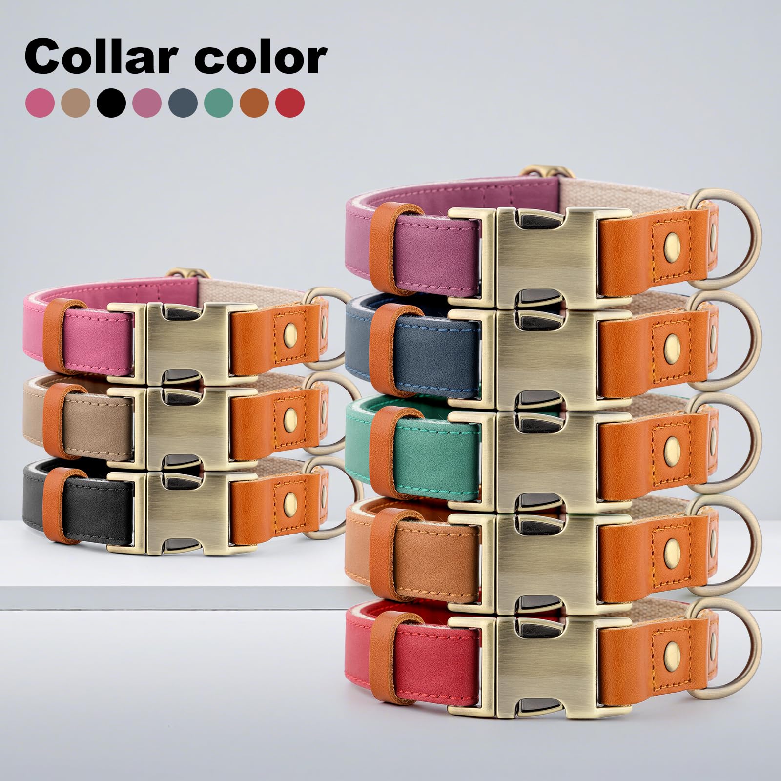 Plutus Pet walk and travel ready collar for secure everyday use