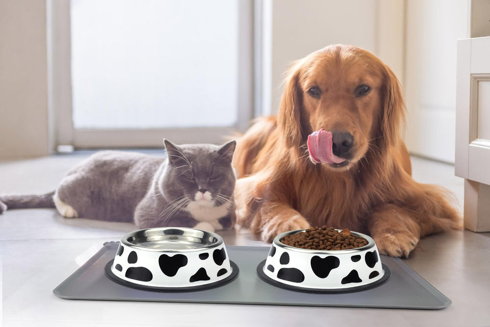 Podinor anti-slip-rubber-bottom-dog-bowl keeps bowls steady during feeding.