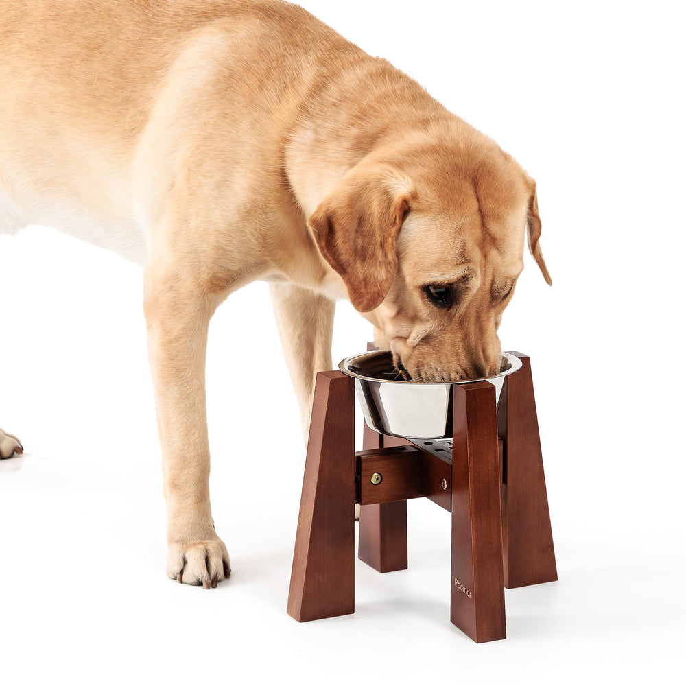 Podinor elevated dog bowl stand assembly for quick, easy setup.