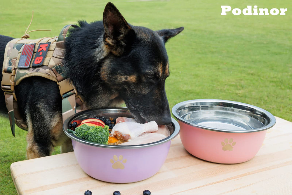 Podinor human-grade tested stainless steel for safety and durability at home.