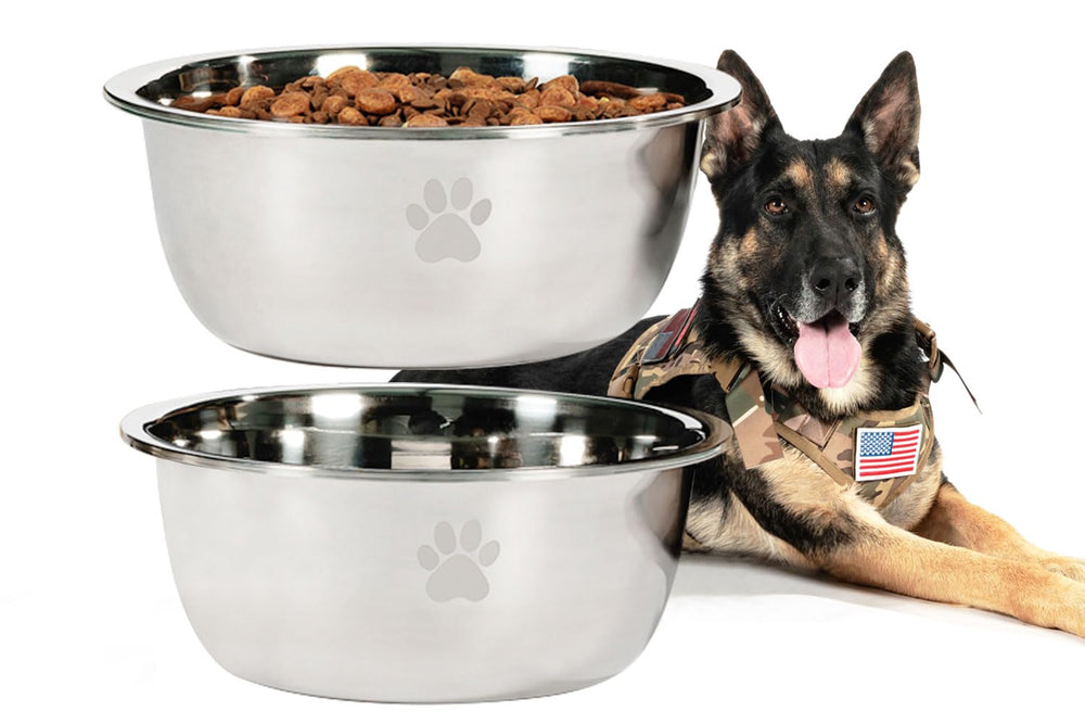 Podinor large dog bowl 2-pack, top view showing 170oz capacity for big dogs.