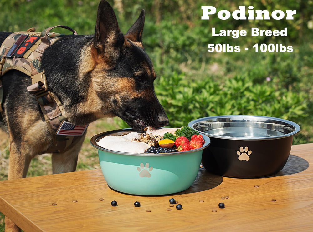 Podinor large dog water bowl 2-pack side view shows tall profile and wide top.
