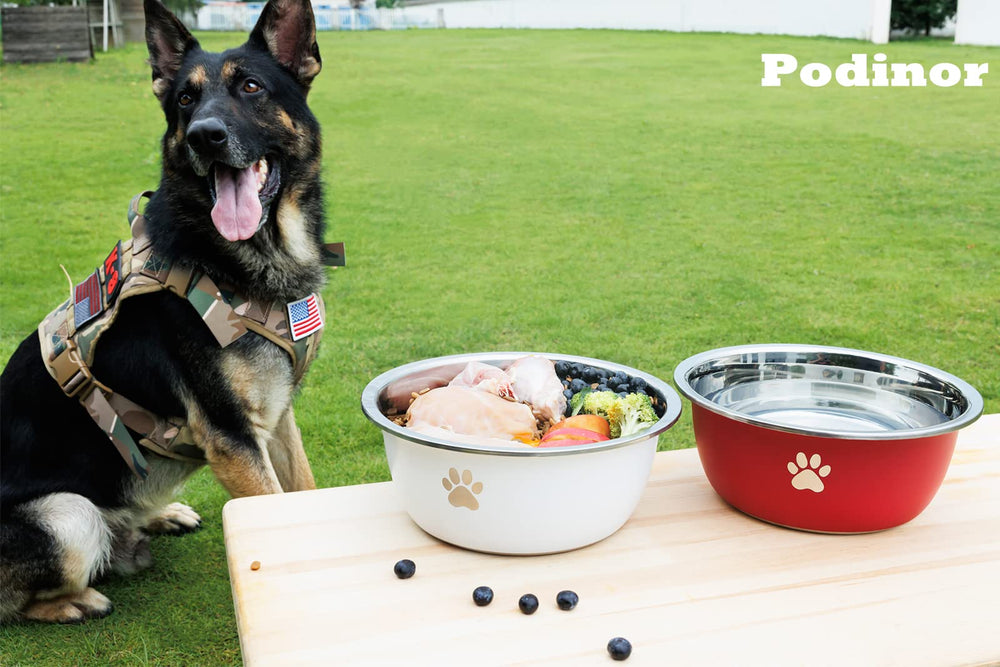 Podinor top-diameter design fits large breeds comfortably