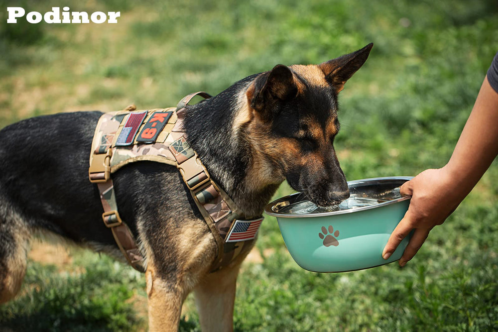 Podinor silver metal dog bowl close-up shows safe, heavy-duty construction