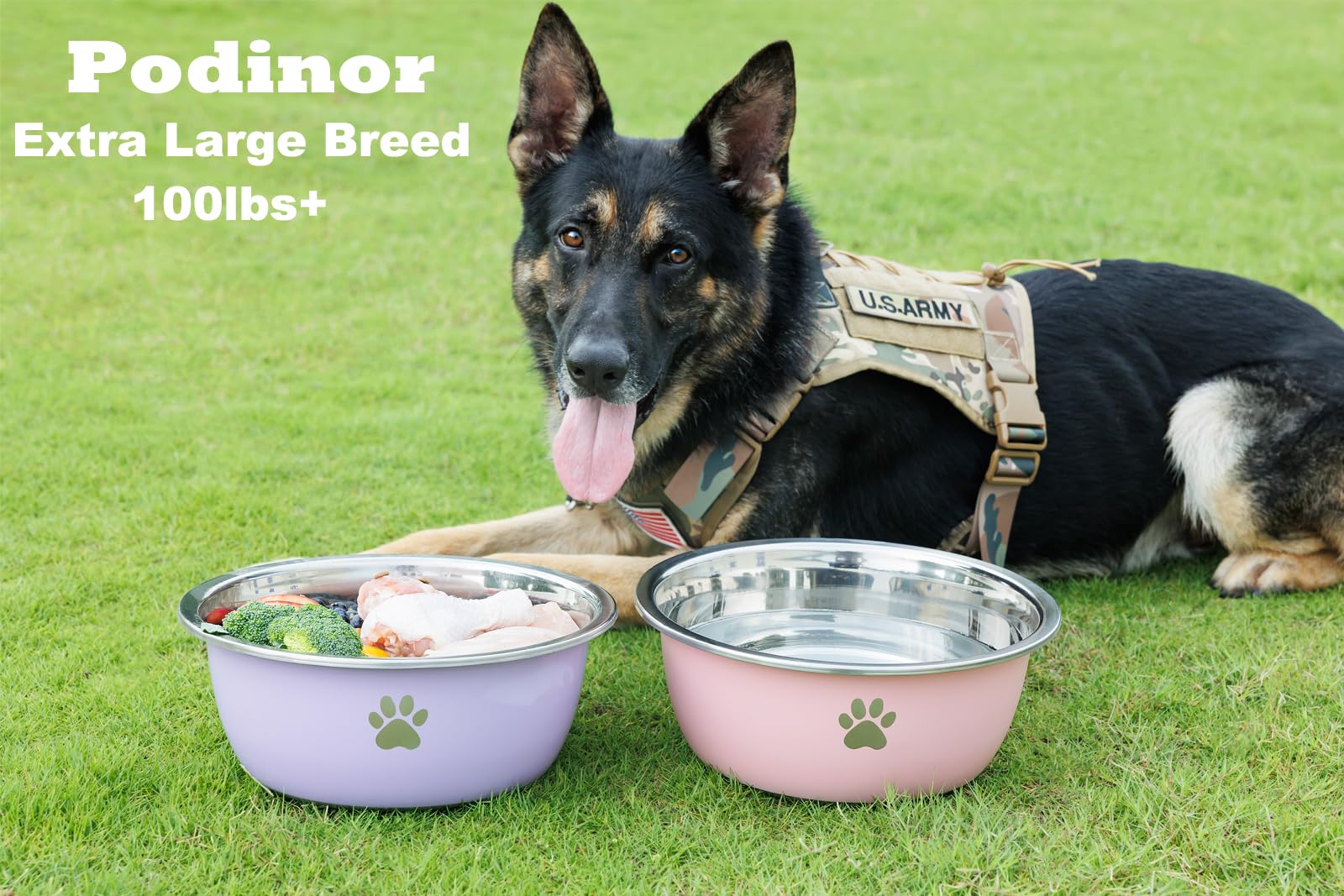 Podinor stainless steel dog bowl dishwasher safe for easy cleanup after meals.