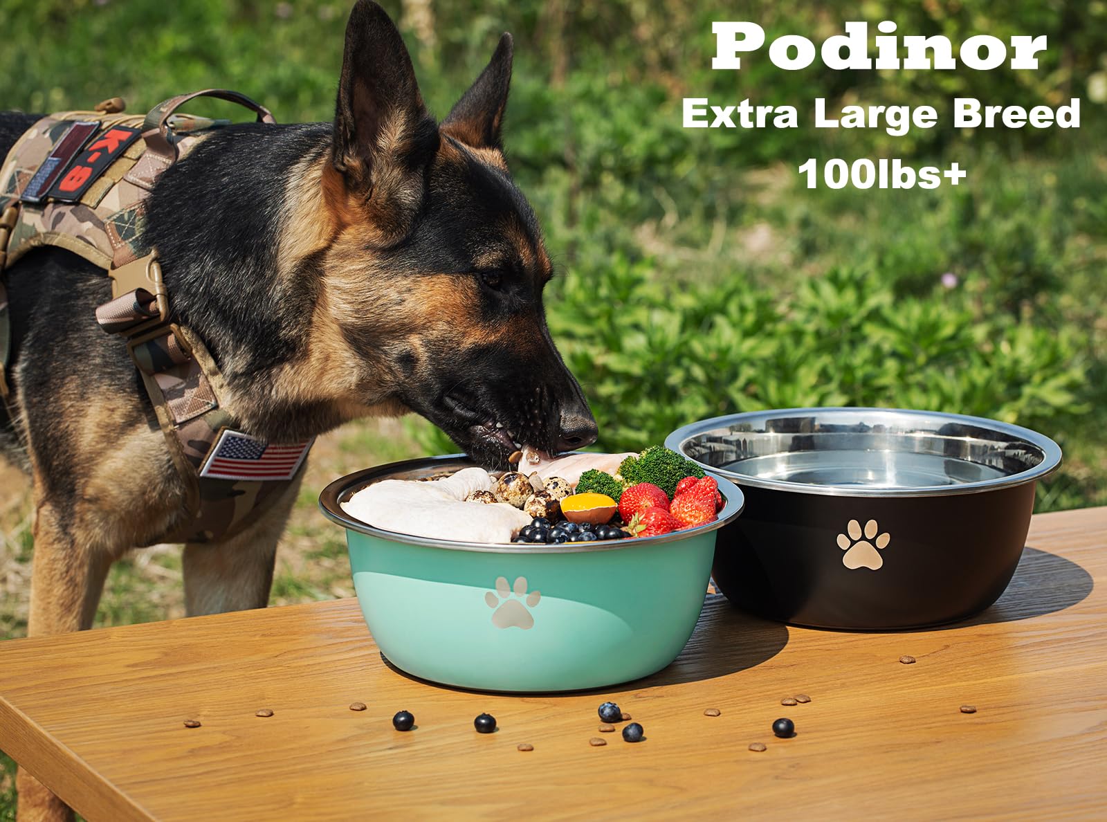 Podinor stainless steel dog bowl top view, durable for outdoor use.