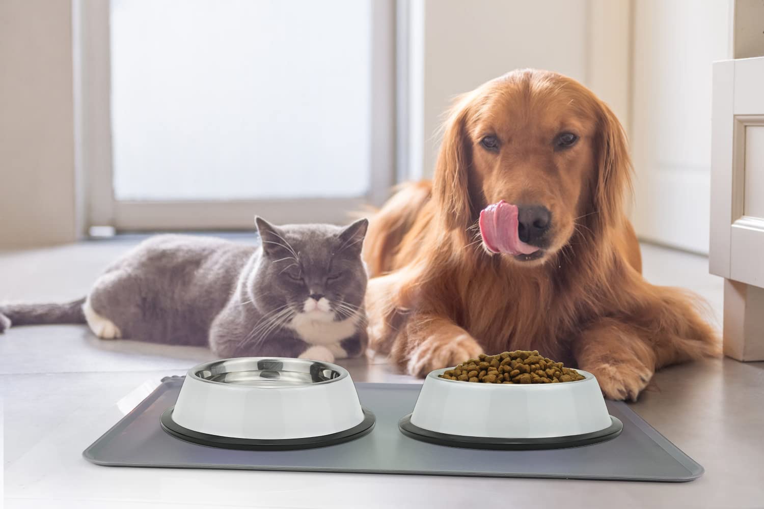 Podinor stainless steel dog bowls are dishwasher safe for easy cleanup.