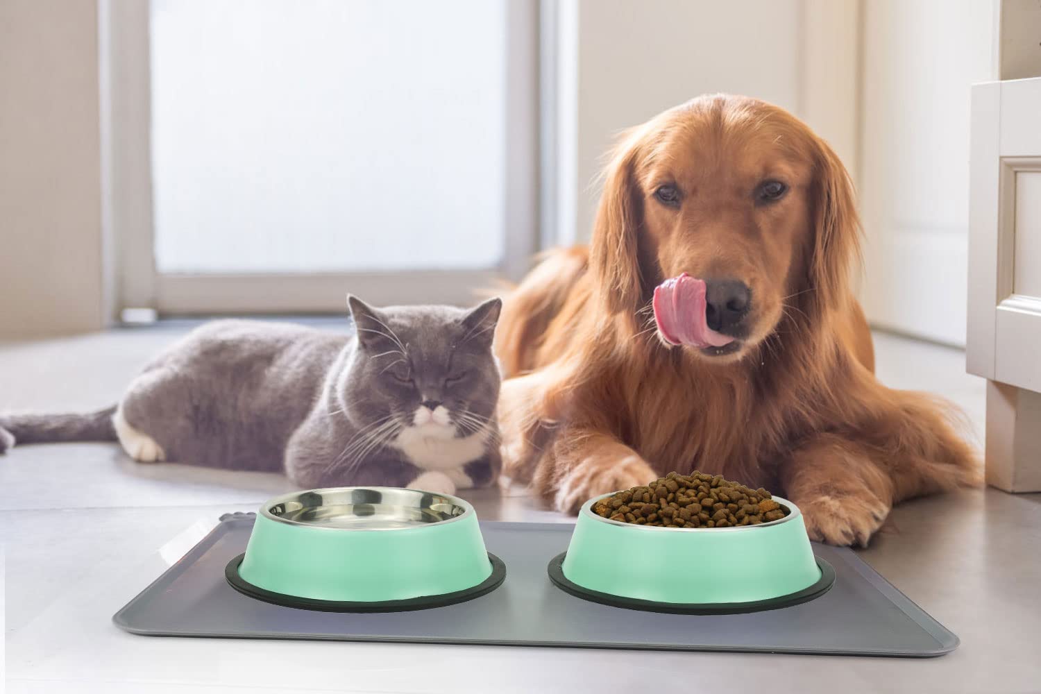 Podinor dog bowls with non-slip bottom to prevent sliding.