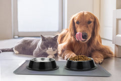 Podinor stainless steel dog bowls stack neatly for compact storage and travel.