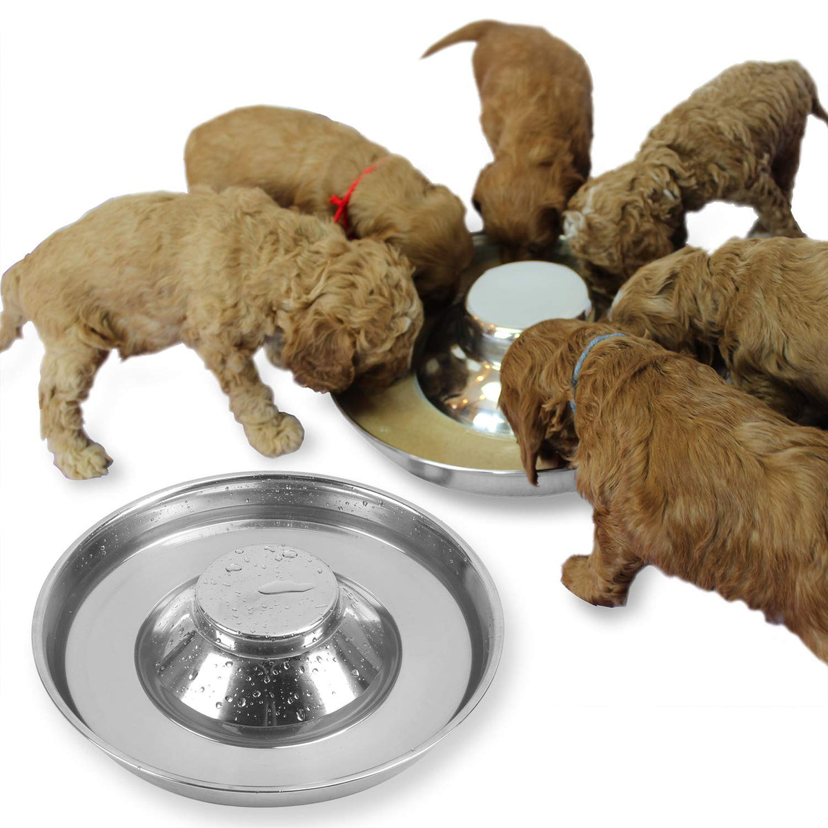 Podinor 2-pack bowls, front view, durable stainless steel feeding set for puppies.