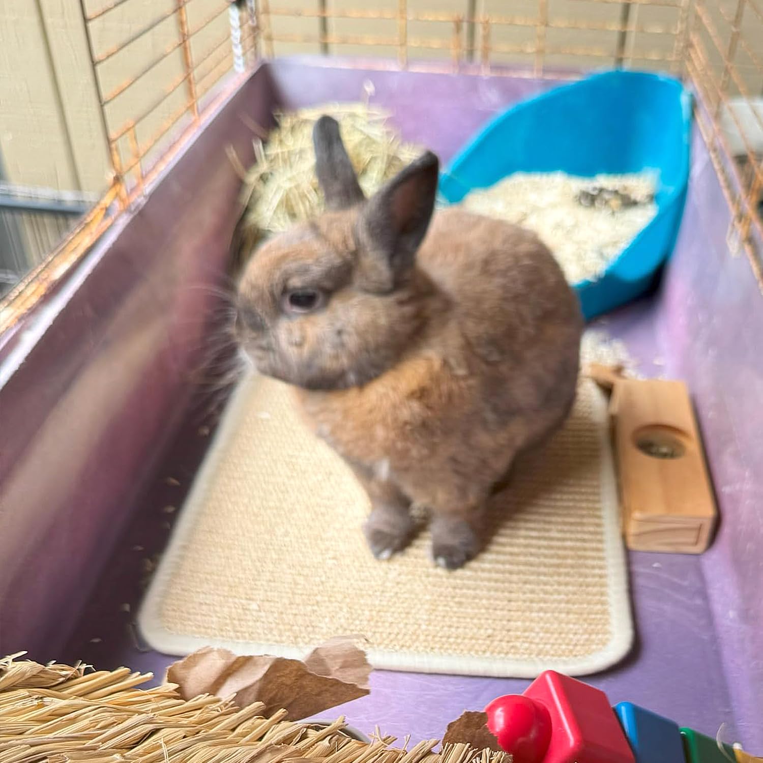 PODOO Bunny Scratch Pad in natural color, an attractive indoor pet accessory.