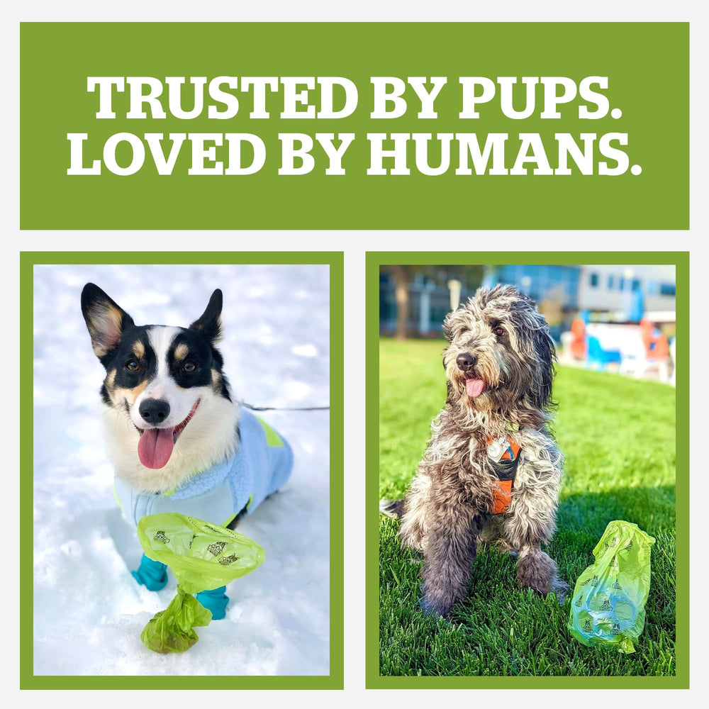Pogi's 300-count compostable poop bags package for long-term supply