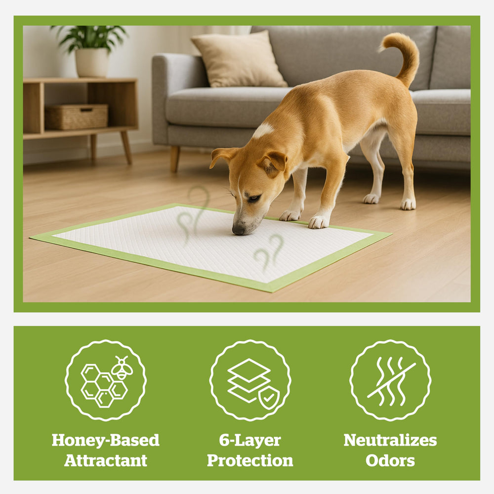 Pogi’s Dog Pads 6 layer absorbency shows rapid liquid containment