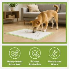 Pogi’s Dog Pads 6 layer absorbency shows rapid liquid containment