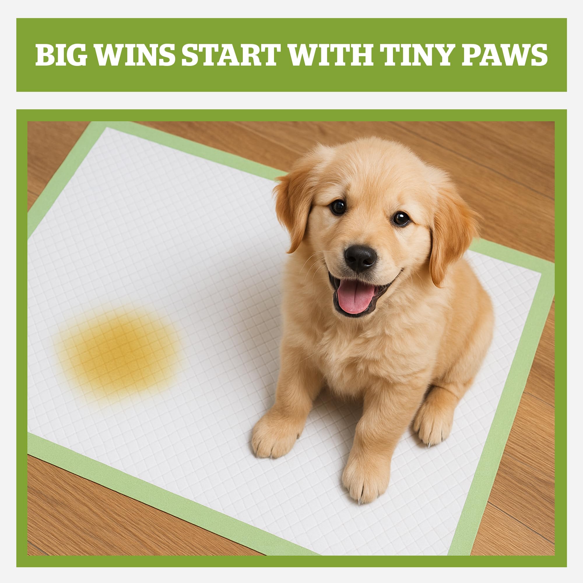 Pogi’s Dog Pads adhesive tabs secure pad placement on floors