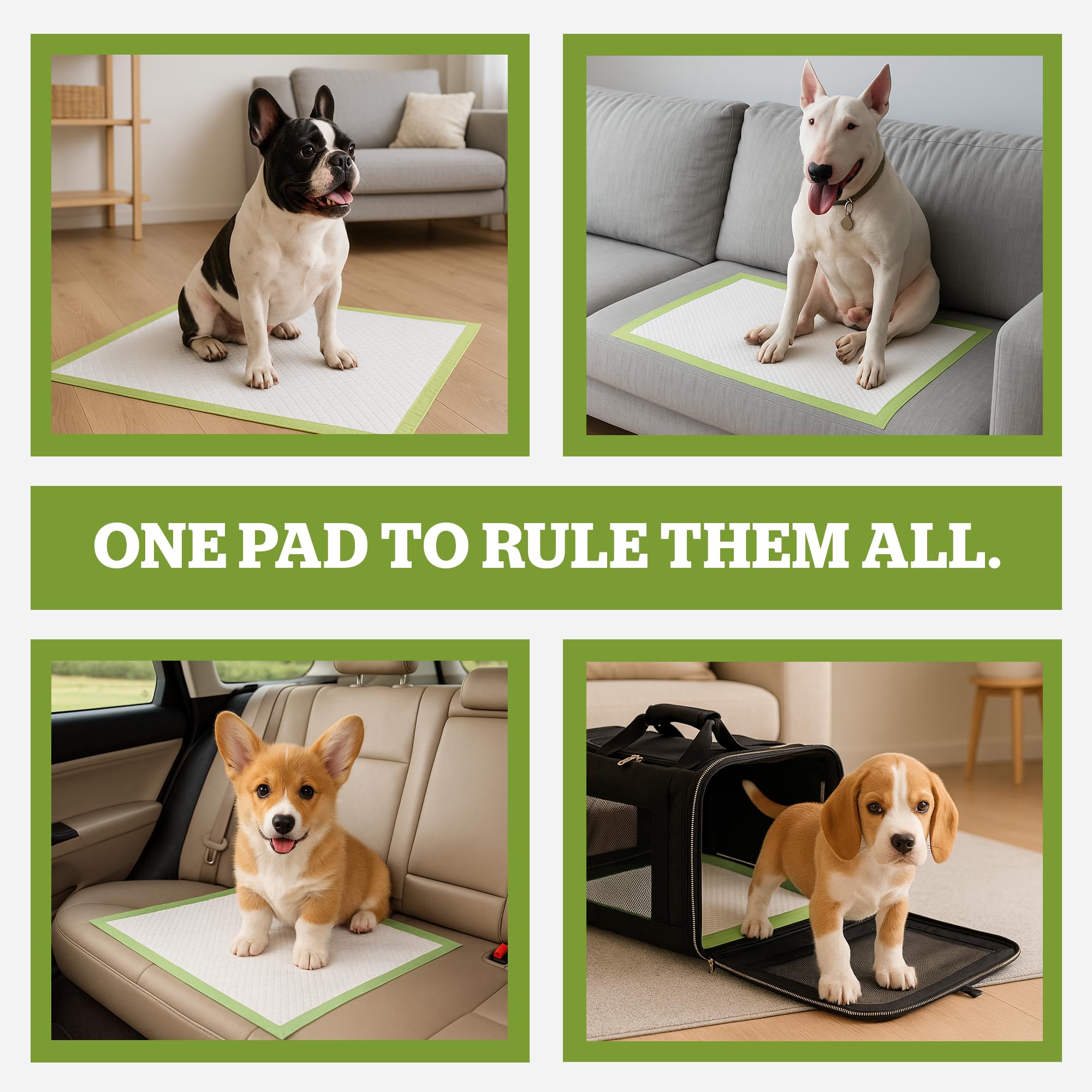 Pogi’s Dog Pads odor control with gel absorption and honey lure