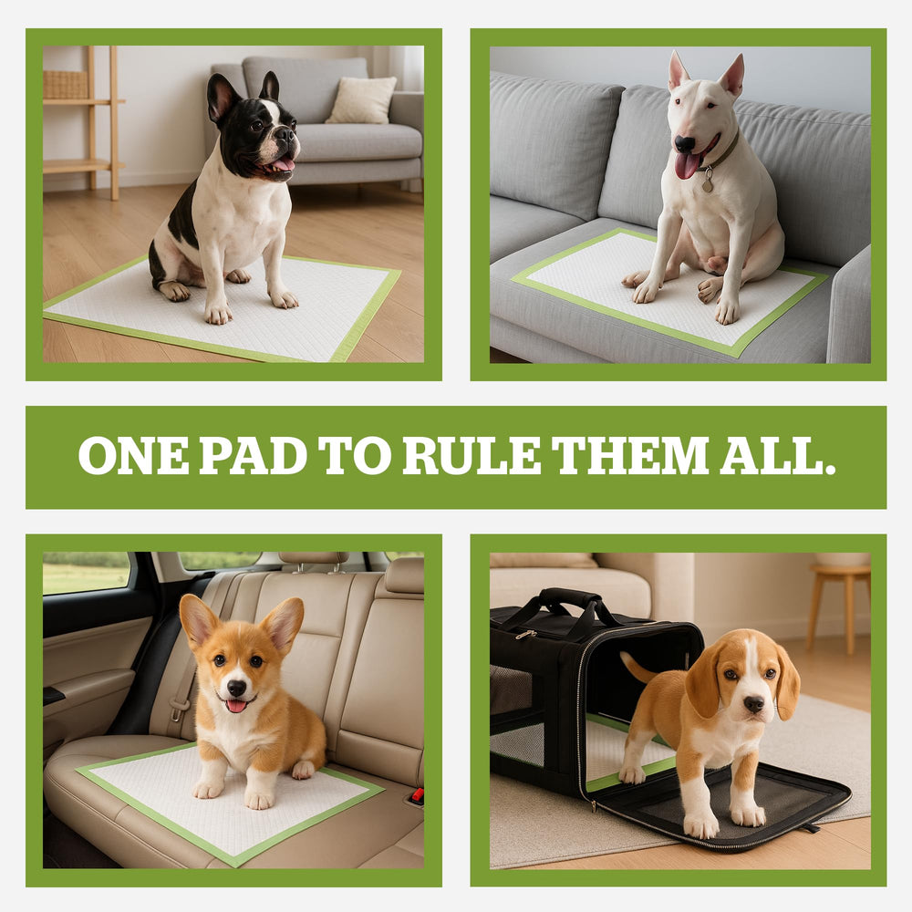 Pogi’s Dog Pads odor control with gel absorption and honey lure