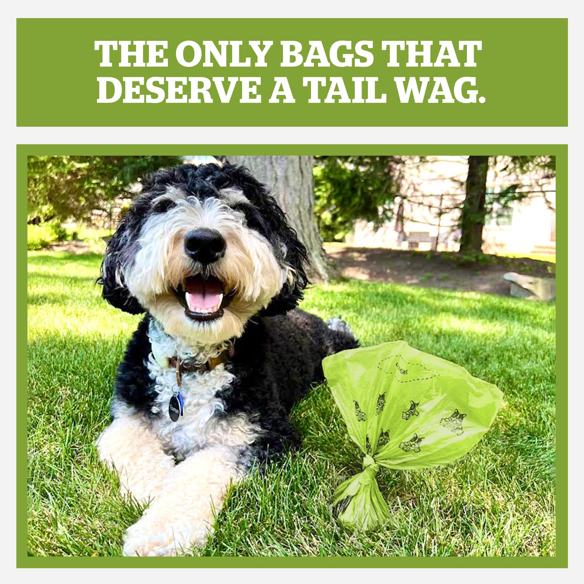 Pogi's Dog Poop Bags easy-pull-tie demonstrates quick, tidy disposal.