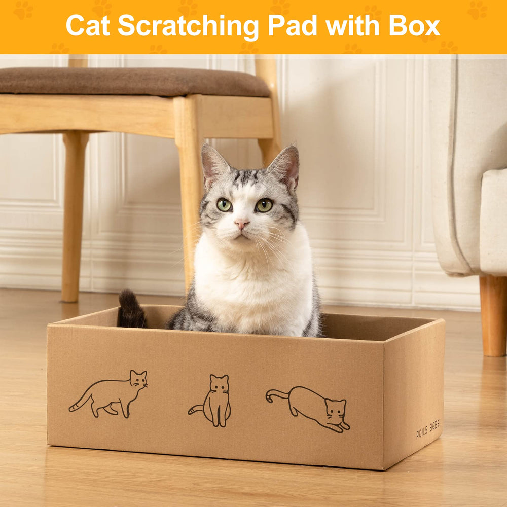 Poils bebe flat boards invite paw sharpening and steady traction.