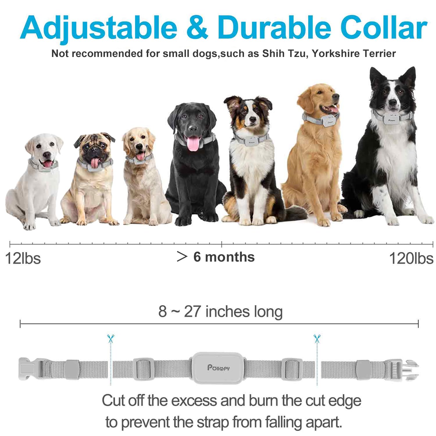 POIIOPY dog collar closeup emphasizes durable strap and safe design.