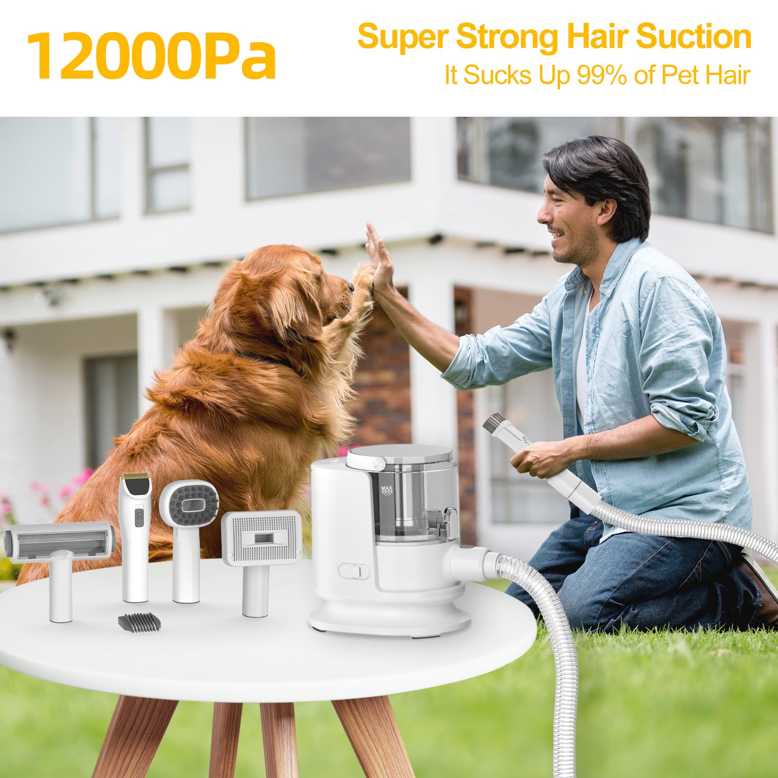 Poit dog grooming vacuum with attachments kit ready for all-in-one care.