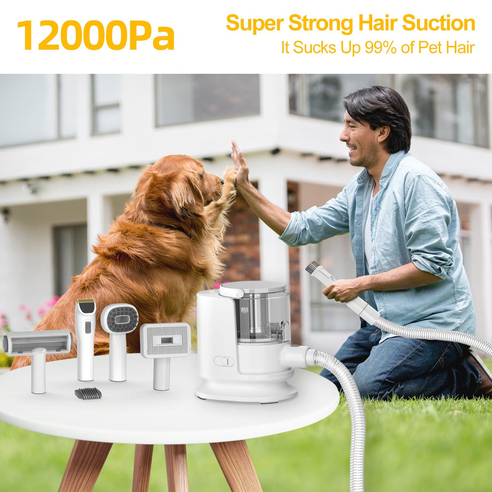 Poit dog grooming vacuum with attachments kit ready for all-in-one care.