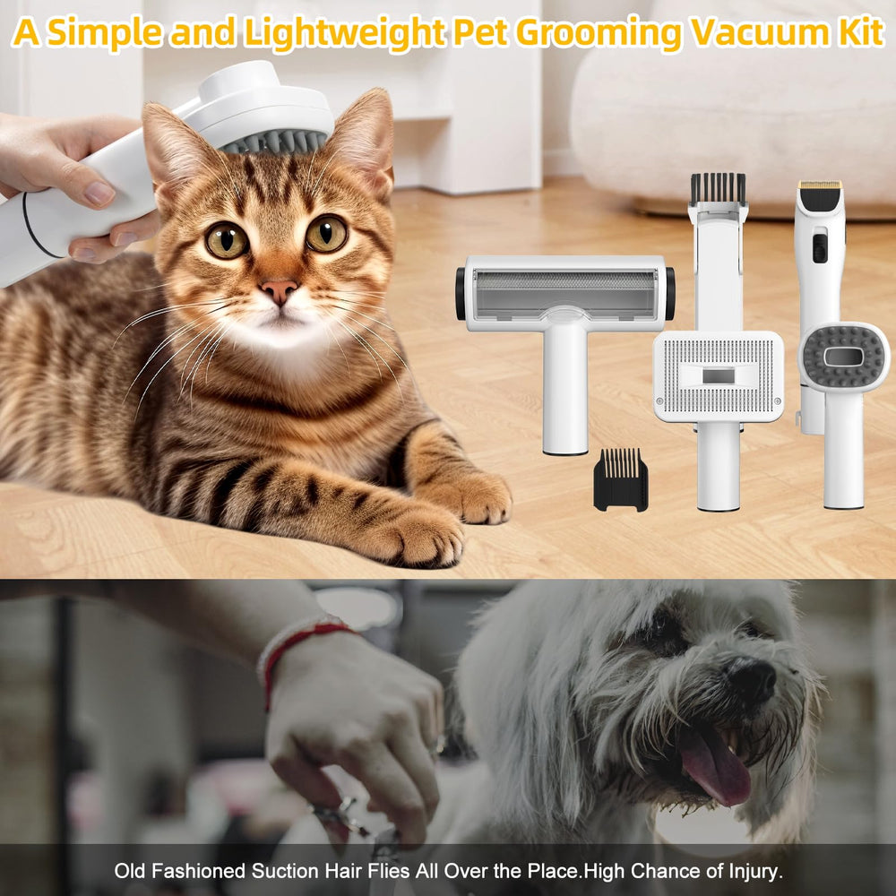 Poit dog grooming vacuum in use on sofa and carpet collects fur efficiently.