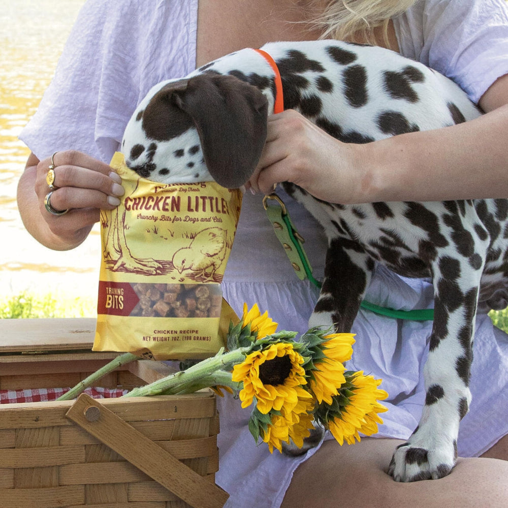 Polkadog Chicken Littles bolsa práctica para entrenamiento fuera de casa