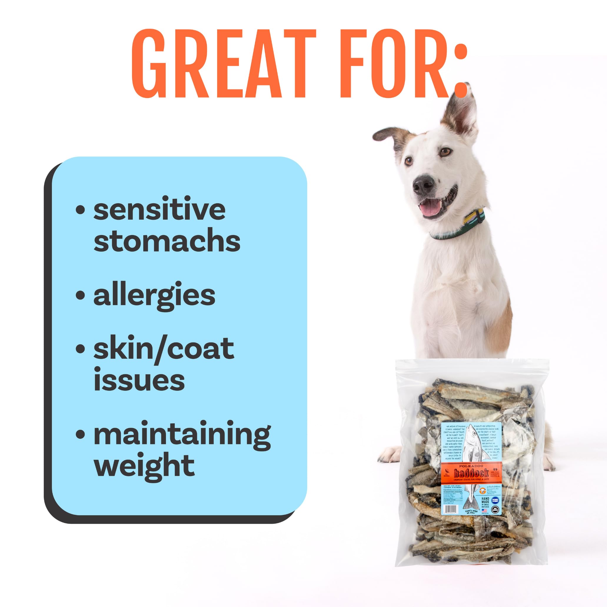 Polkadog Crunchy texture image illustrates high-value training reward potential.