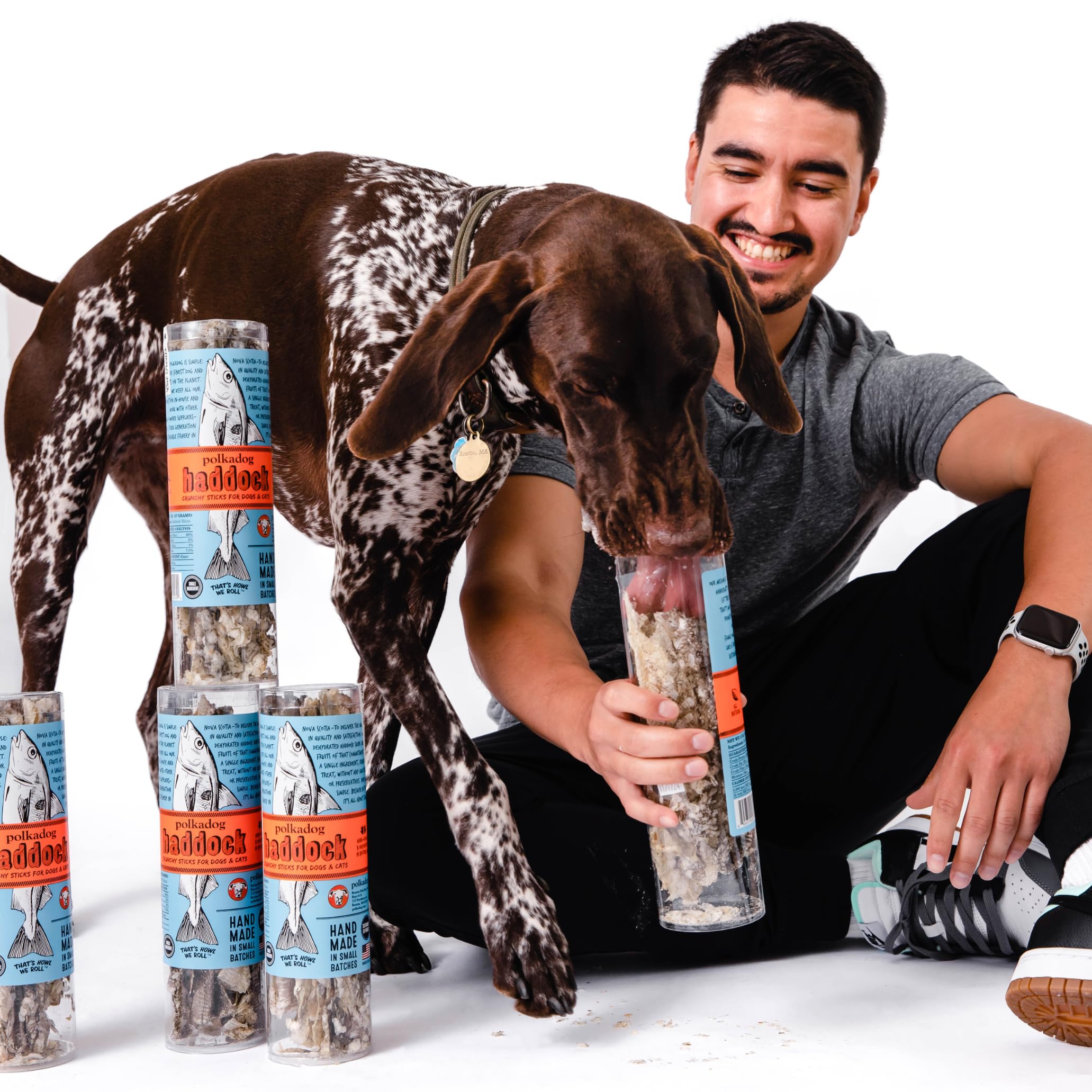 Polkadog New England sustainable image highlights traceable seafood.