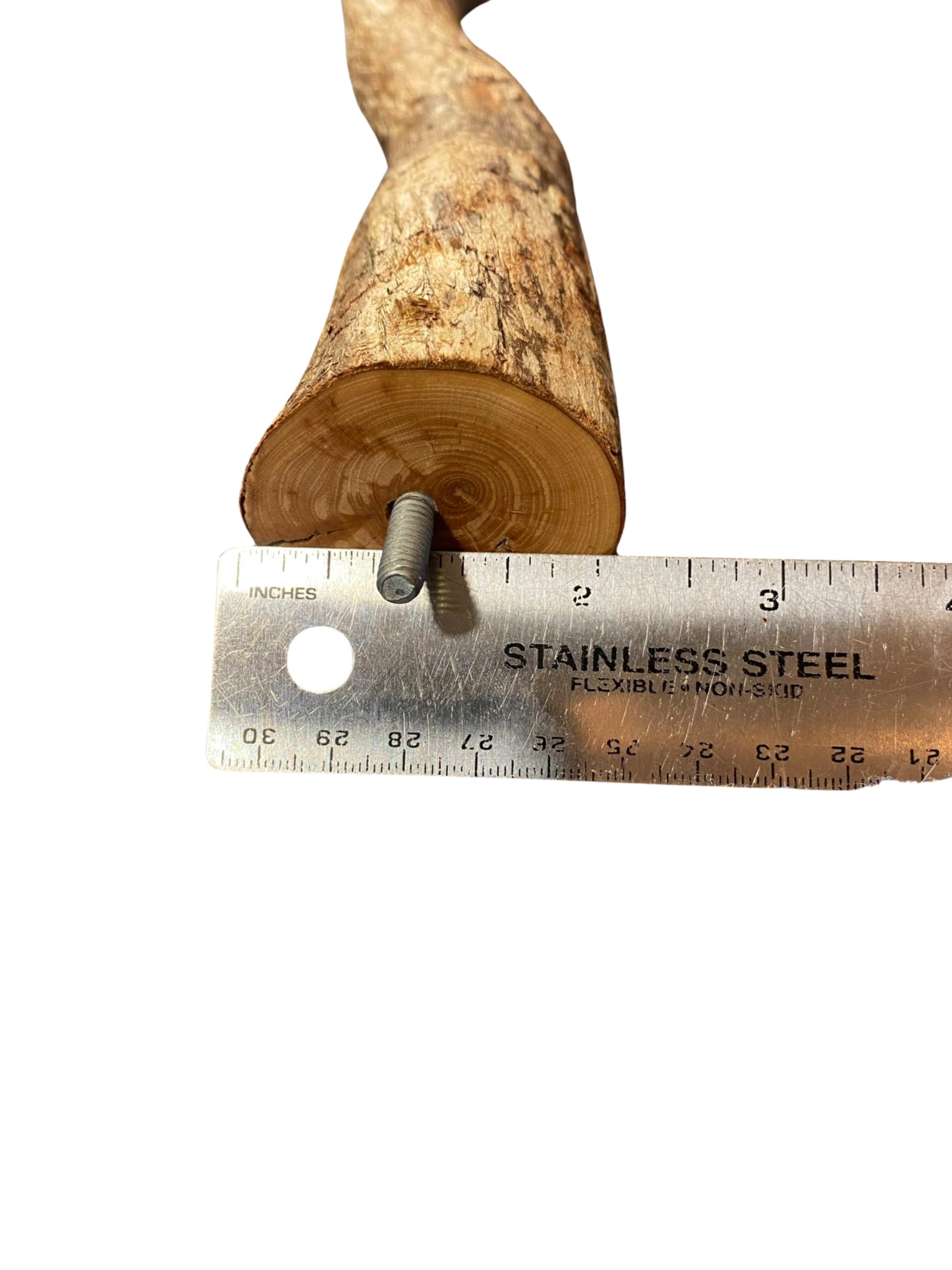 Thick 28-inch Polly's perch shows diameter and rugged surface