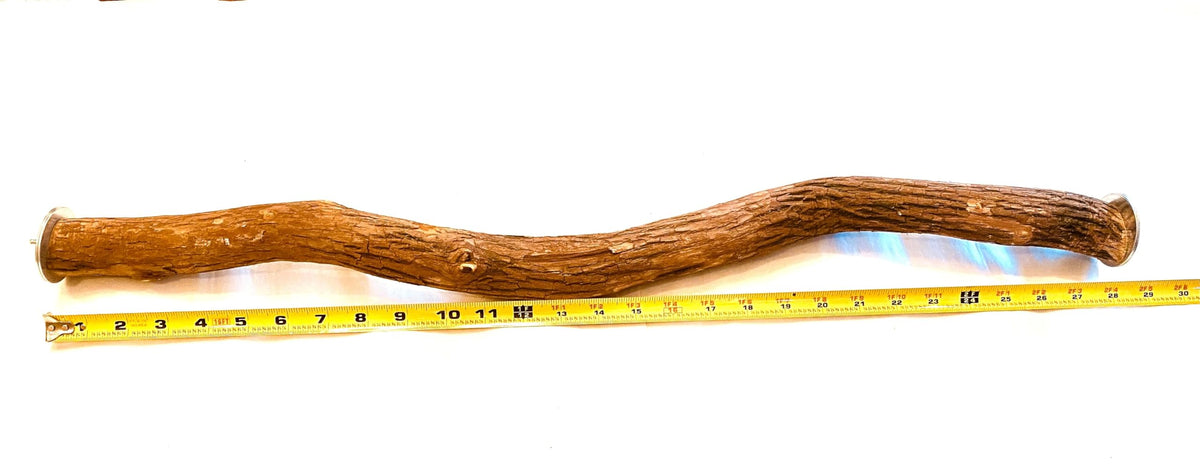 Polly's 28-inch full-length hardwood perch front view showing sturdy perching surface
